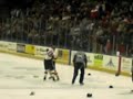 Hockey Fight - Jeremy Yablonski VS Dennis Bonvie Hockey Fight - Jeremy Yablonski VS Dennis Bonvie
