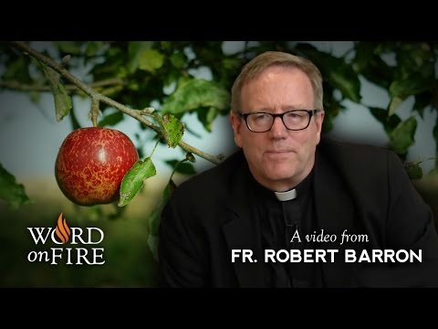 Fr. Robert Barron on Original Sin