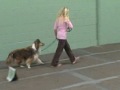 AudraRallyDemo20091206.wmv