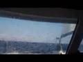 videos de windysailing