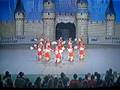 Crown Point High School Dance Team 2007-2008