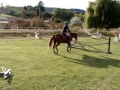 Magic