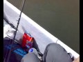 Tawau Black Bass Fishing Tawau Black Bass Fishing
