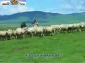 Tibetan Song Berger Girl - Phurchung Dolma