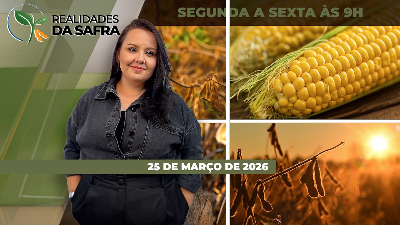 REALIDADES DA SAFRA - EDIÇÃO 25/03/2026