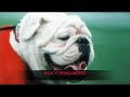 Uga VI Remembered