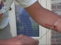 Needle Through Arm Illusion Needle Through Arm Illusion