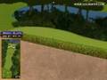 Golden Tee Great Shot on Sunny Wood!