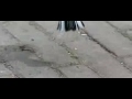 Vink Vink