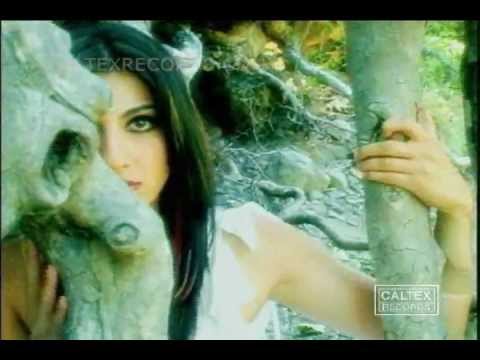 Saeed Mohammadi – Bado Bid