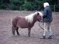 Wisti og Egbert