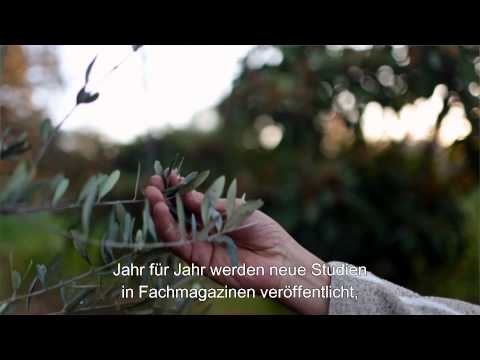 Earth's Best: Olivenblatt