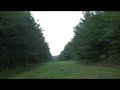 118 Acre Double Bridge Tract - Ashville, AL