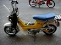 Honda Chaly 74 hoodride