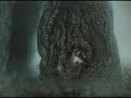 Hedgehog in the Scotch Mist (Radiohead) Hedgehog in the Scotch Mist (Radiohead)