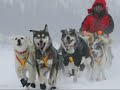 Yukon Quest Promo Video
