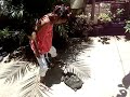 Viny e lívia brincando com a Tatá