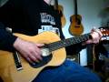 Blues on Hohner HW03 Guitar