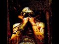Anaal Nathrakh - When Humanity is Cancer.mp4