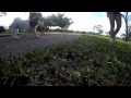 Click here to watch this video GoPro HD Compilation Lolli