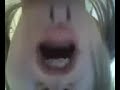 teledysk, klip, Dolly Parton,- The Man