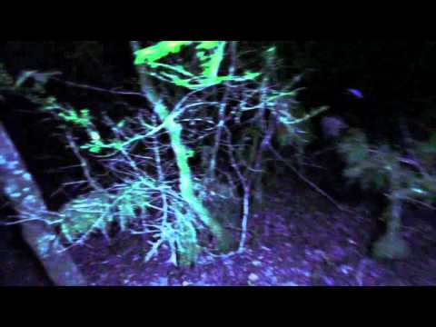 Sonic Area - Music For Ghosts - Official trailer teaser # 2