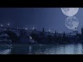 Sleep Music: Sleeping Music and Relaxing Music for Sleeping, Relax, Lullabies, Baby Music