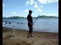sanger carp fish sanger carp fish