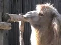 ????????????