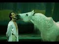 Cavalia
