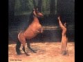 Cavalia