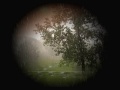 clip video Julie London September In The Rain