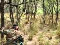 View Video