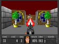 PC - Wolfenstein 3D (Project Totengraeber II) - Level 33