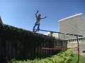 Skateboard bails