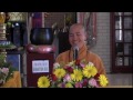Sự Quyết Tâm Của Đức Phật