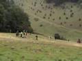 HyzerTV presents: Albuch Disc Golf Open 2005