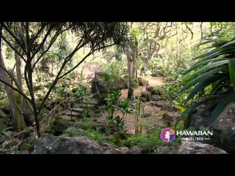 Valley - Known for big waves and surf culture, the North Shore of O'ahu is home to Waimea Valley, where visitors can immerse themselves in peace, quiet and a sense of...