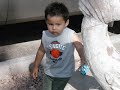 Jay Adams Bekis loves Trains Jay Adams Bekis loves Trains