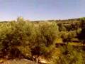 Trullo Morino Campanale Ceglie Messapica