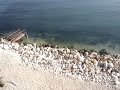 Mattinata Spiaggia Porto  Foggia Parco Nazionale del Gargano