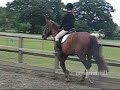 ***Add &fmt=18 to the end of the URL to watch in high quality***I own ALL the videos and photos, but I DO NOT own the song. Which means DO NOT steal this video - I made it so it's MINE. Our canter set to the music 'Die Another Day'. I know there were a few jumps in the video, but I wanted to show the canter before and after jumping, and our 'ride away'. ▬▬▬▬▬▬▬▬▬▬▬▬▬▬▬▬▬▬▬▬▬▬▬▬▬▬▬Programme Used: 