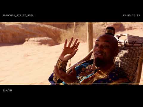動画