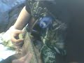 Me Playing a Short Song I Wrote