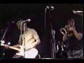 The Hippos Rock 'N' Roll Live