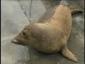 OC Wildlife & Beach Tour (EcoTours)