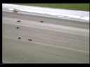 batavia-downs-gaming-wiener-dog-races-heat-1.html