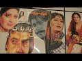 MiniMovie: Wild Scenes - Episode 1 MiniMovie: Wild Scenes - Episode 1