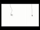 Krótki film o pająkach.Short movie about spiders.