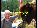 Far west � Steinbourg